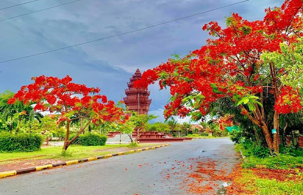Flame Trees in Kep
